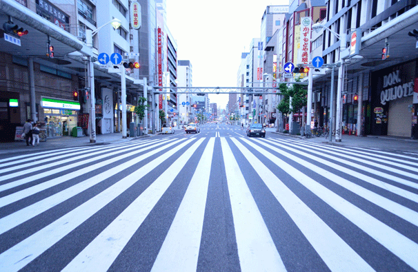 We Travel a Lot Photo